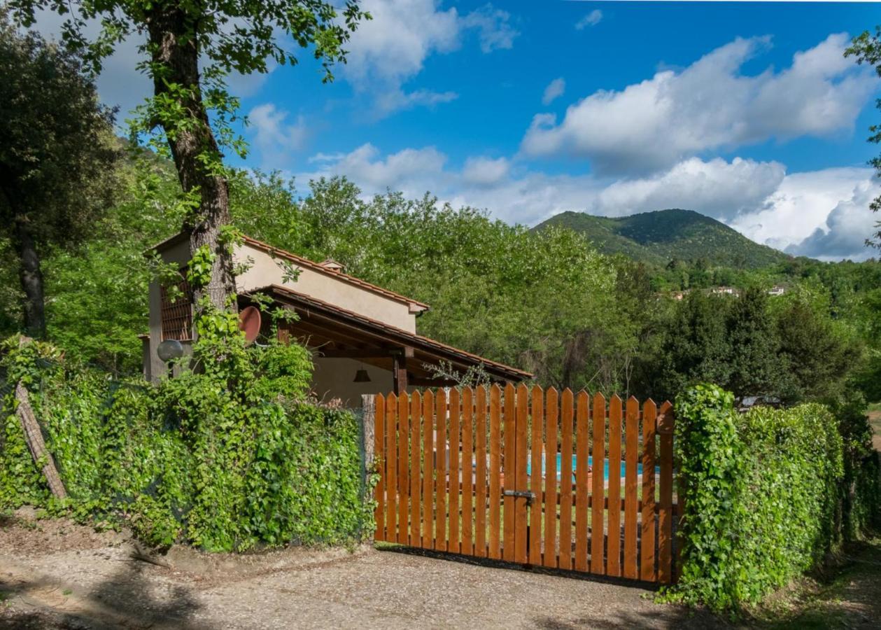 Villa Con Piscina Esclusiva Nel Verde ルッカ エクステリア 写真