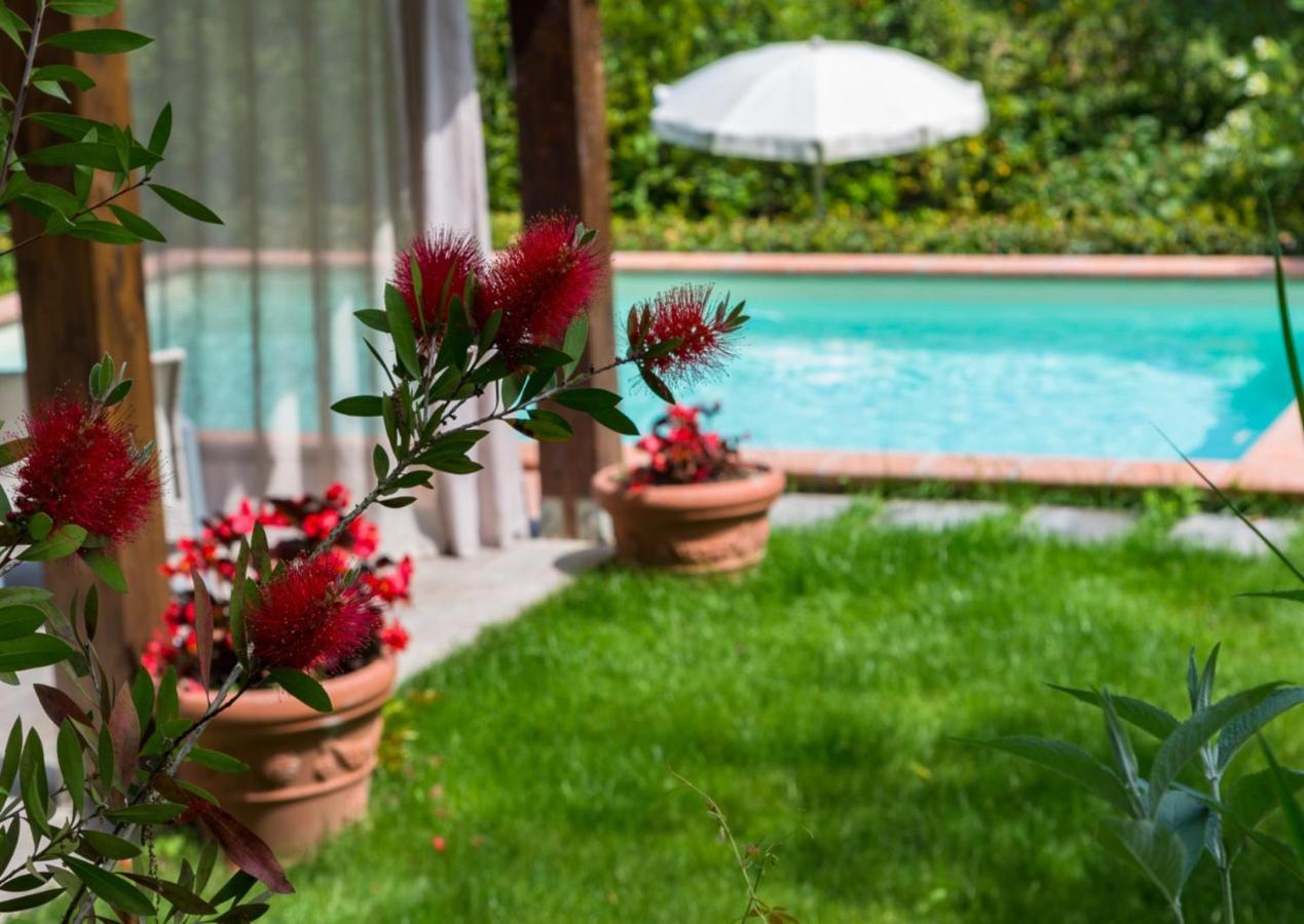 Villa Con Piscina Esclusiva Nel Verde ルッカ エクステリア 写真